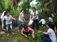 Phong trào tình nguyện tại chỗ “ Ngày chủ nhật xanh” của Liên chi đoàn Khoa Sư Phạm